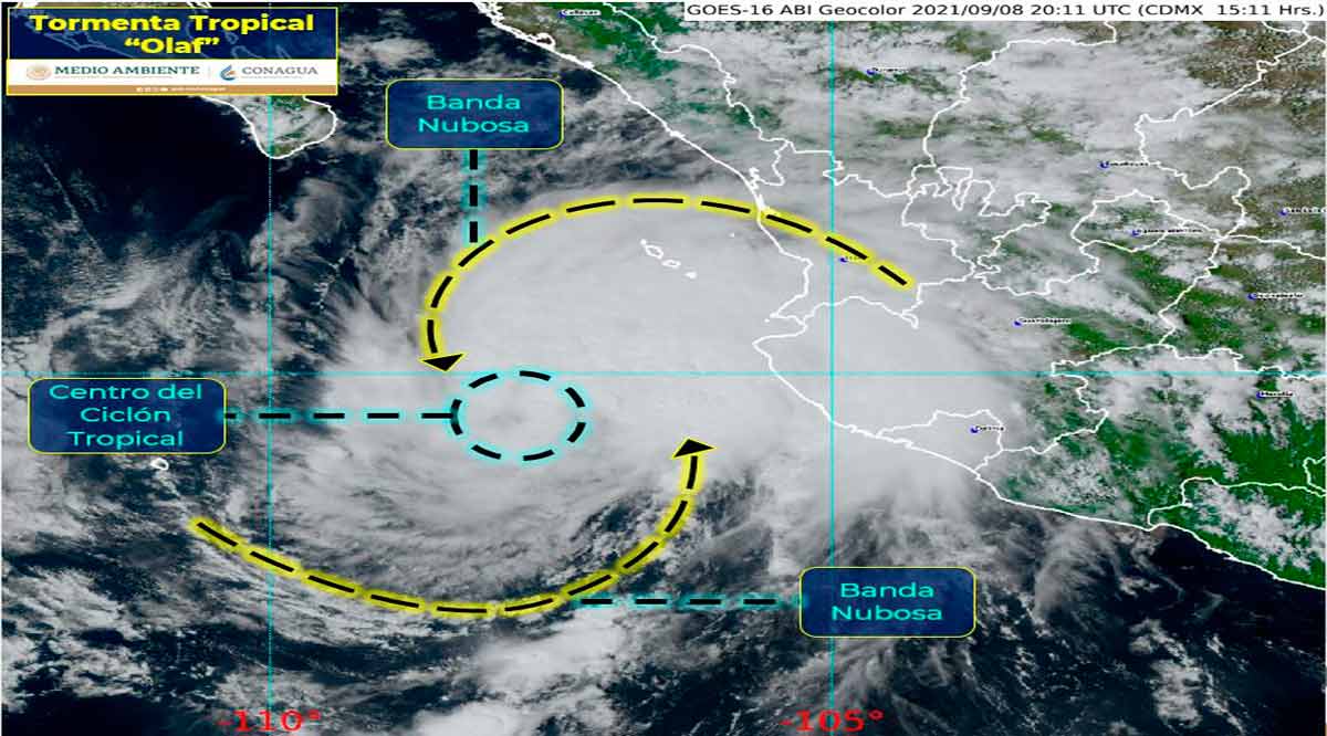 Se ubica la tormenta tropical “Olaf” a 450 kilómetros de CSL