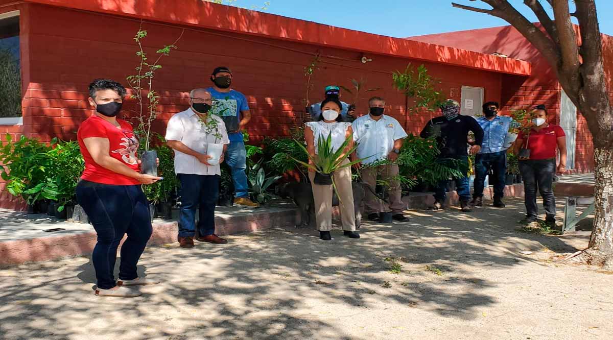 Pone en marcha la UABCS en Los Cabos el programa “Campus Verde”