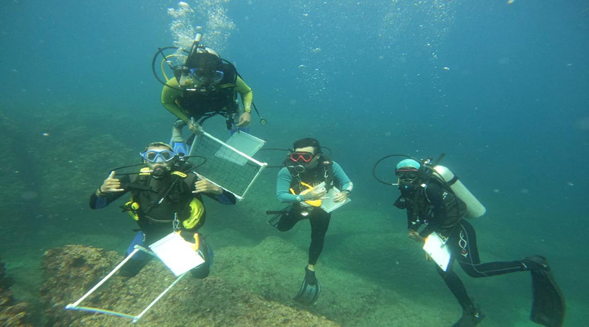 Abre UABCS proceso de selección para posgrado en Ciencias Marinas y Costeras