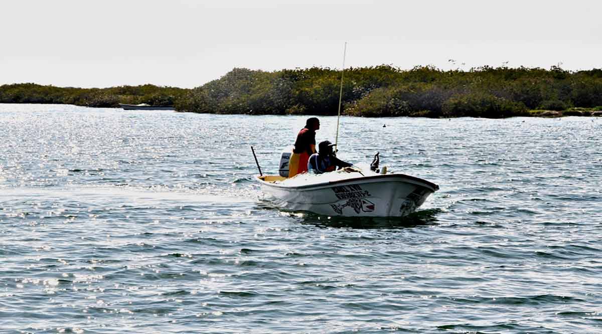 Impulsarán Sepada e Inapesca el aprovechamiento responsable de los recursos marinos en BCS