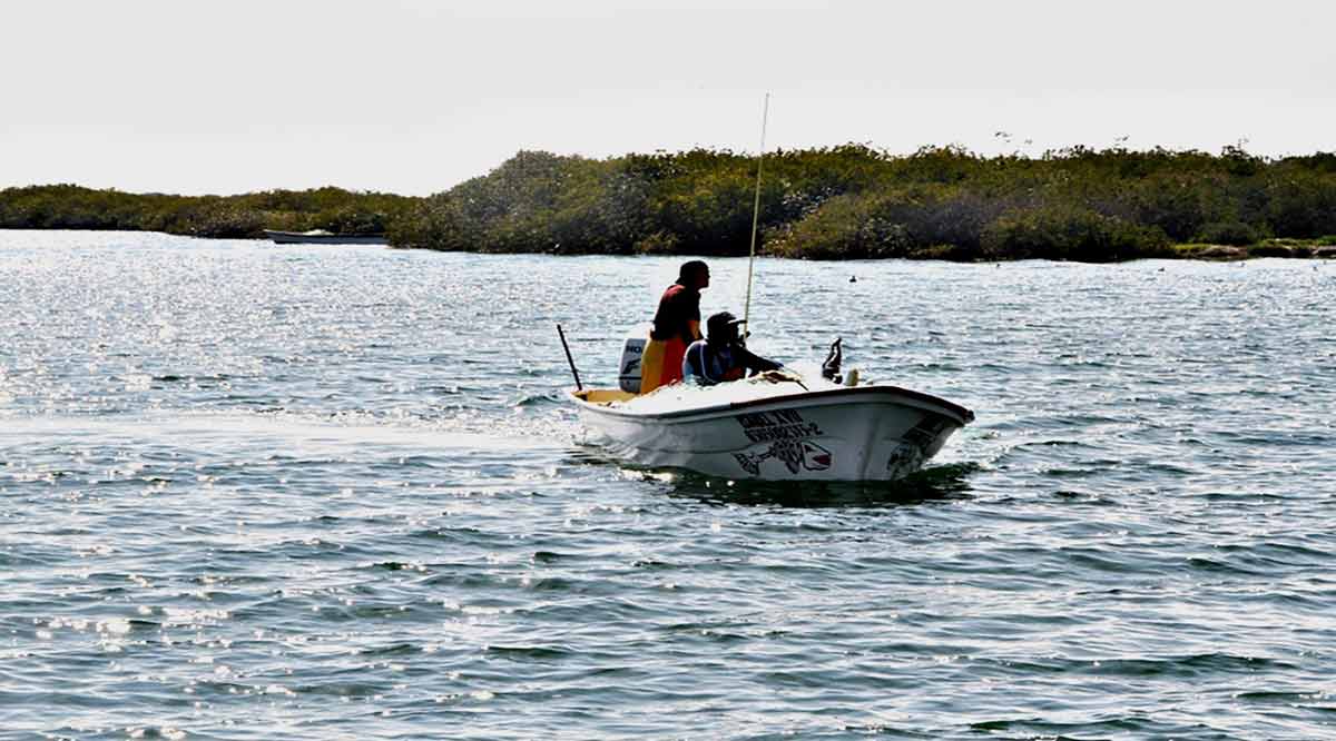 Se han entregado 1,783 seguros de vida a pescadores de BCS