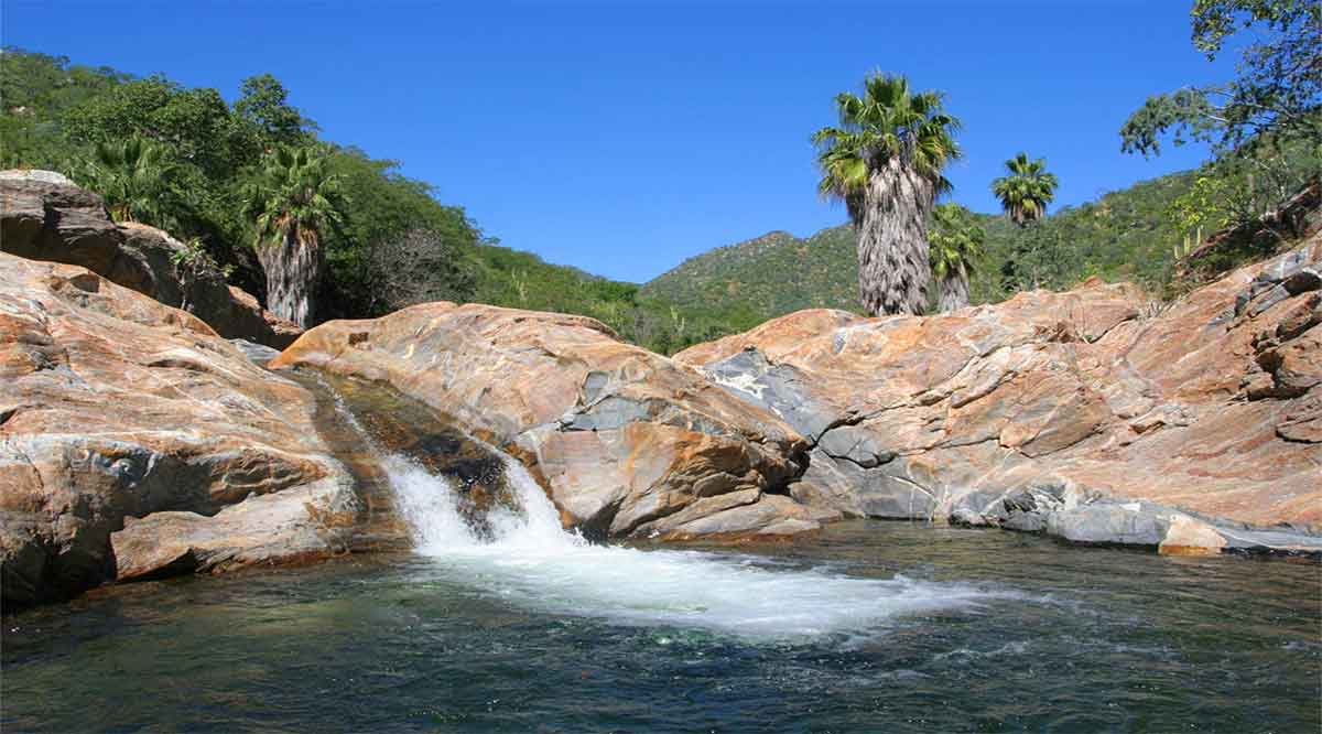 Fortalecerá el proyecto Kuxatur el desarrollo sustentable y conservación de Sierra La Laguna