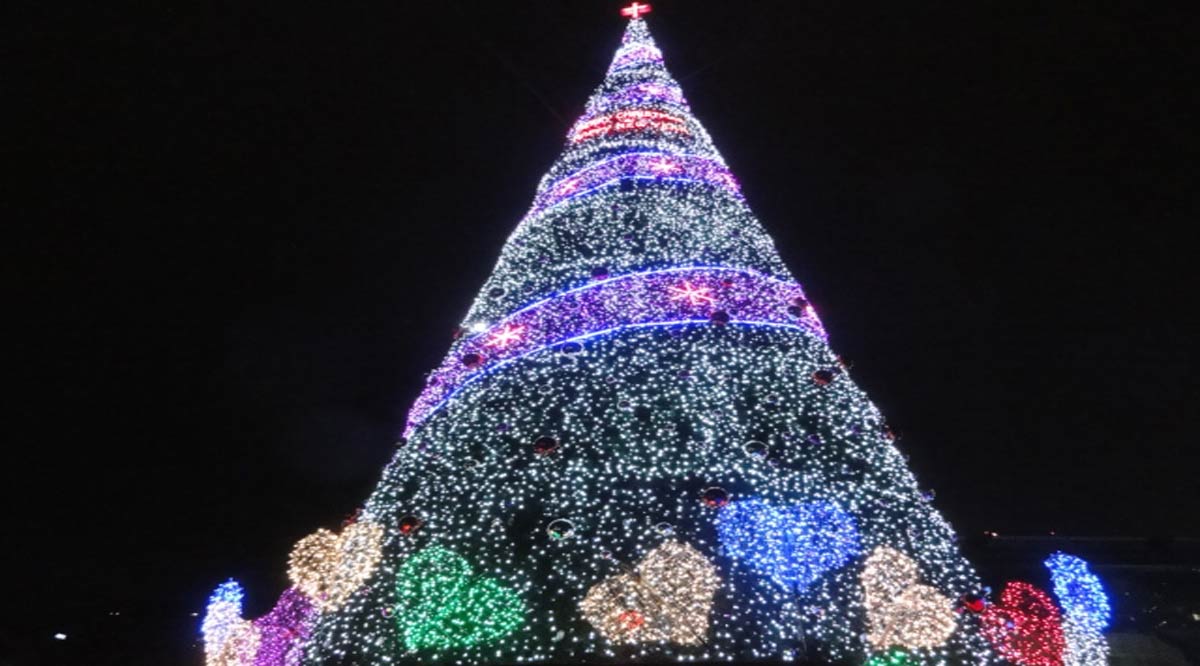 Arrancan encendidos de árboles navideños en Los Cabos