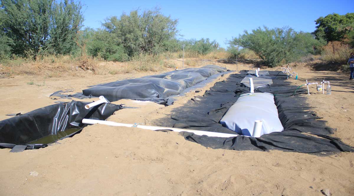 Opera UABCS proyecto de biodigestores en su Posta Zootécnica Opera UABCS proyecto de biodigestores en su Posta Zootécnica