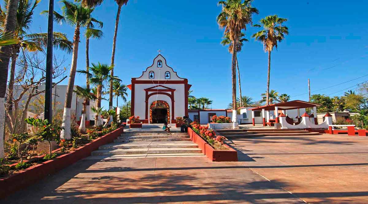 Inaugurarán la Fiesta de la Pitahaya en Miraflores el 15 de julio