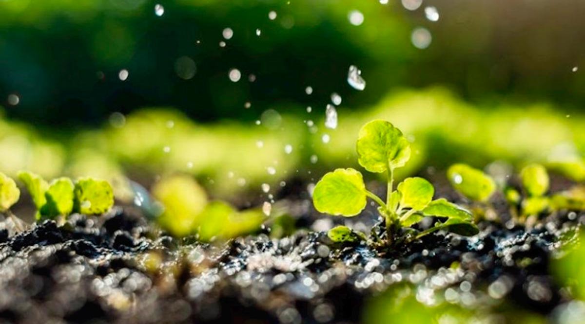 Busca Oomsapas de La Paz reorientar para consumo humano agua empleada en riego agrícola Busca Oomsapas de La Paz reorientar para consumo humano agua empleada en riego agrícola