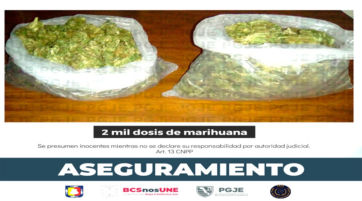 Aseguran 2 mil dosis de droga dentro de paquetería en La Paz