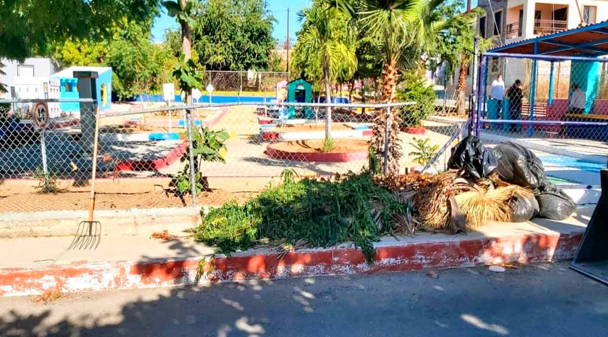 Realizan labores de recolección de basura y limpieza áreas públicas en Los Cabos Realizan labores de recolección de basura y limpieza áreas públicas en Los Cabos