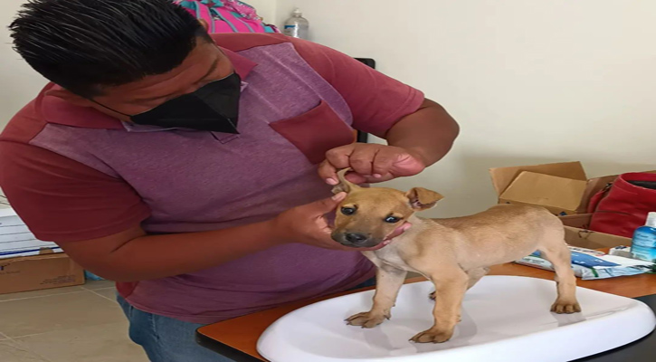 Realizarán jornadas de salud en todas las Delegaciones de Los Cabos