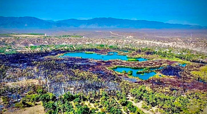 Habrá peritaje profundo en el incendio de Santiago