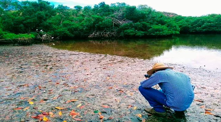 Convocan a estudiantes de nivel superior de BCS a concurso de cartel sobre el tema del agua Convocan a estudiantes de nivel superior de BCS a concurso de cartel sobre el tema del agua
