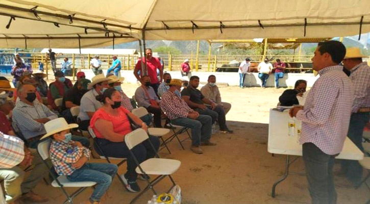Invierten 2.6 mdp en apoyo al mejoramiento genético de bovinos en Los Cabos