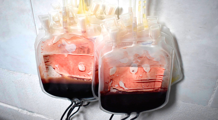 Exhorta IMSS a donadores de sangre altruistas a que apoyen a pacientes hospitalizados  