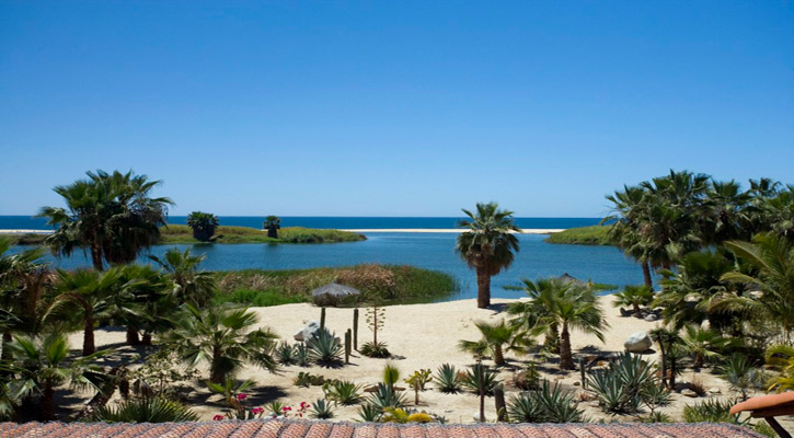 Falta fortalecer el turismo local en BCS, reconoce Secretaria de Turismo Falta fortalecer el turismo local en BCS, reconoce Secretaria de Turismo