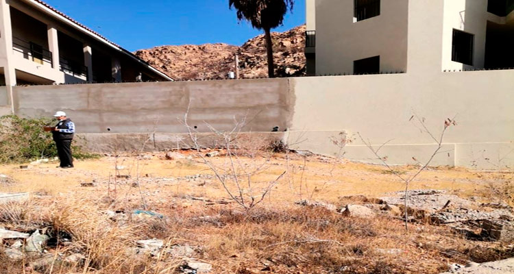Aplican multas desde 150 mil pesos a quienes desmonten sin autorización en Los Cabos