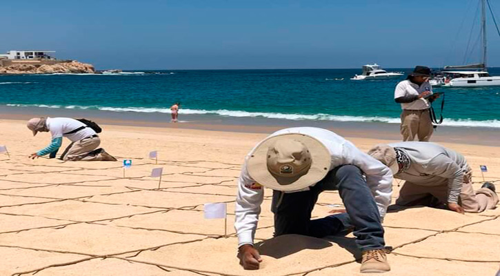 Auditan representantes de Blue Flag criterios normativos en playas de Los Cabos