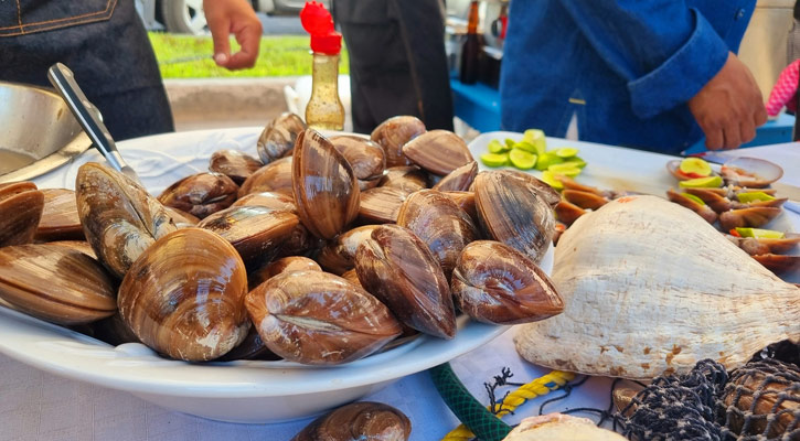 Participaron 21 restaurantes en el Festival de la Almeja Chocolata en Loreto