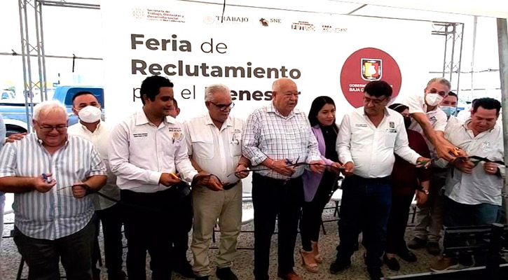 Ofrecieron más de mil empleos en la Feria de Reclutamiento para el Bienestar en Los Cabos