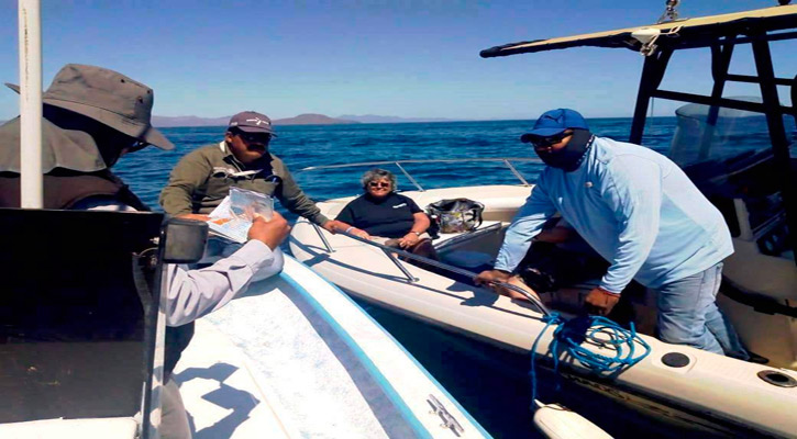 Exhortan a pescadores de BCS a sumarse al combate de la pesca furtiva