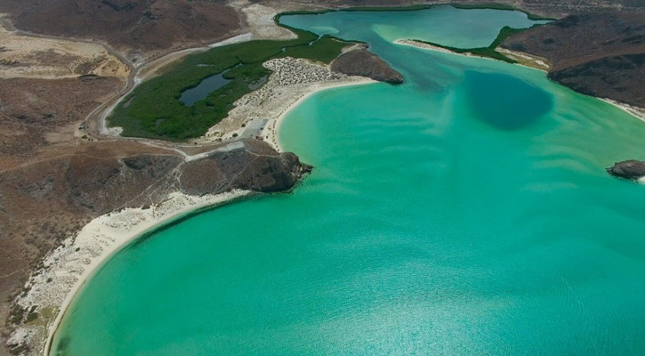 Continúa el acceso controlado a playa Balandra durante temporada vacacional