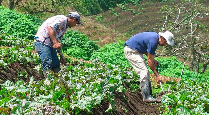 Unas 2 mil comunidades de BCS serán visitadas durante el Censo Agropecuario 2022