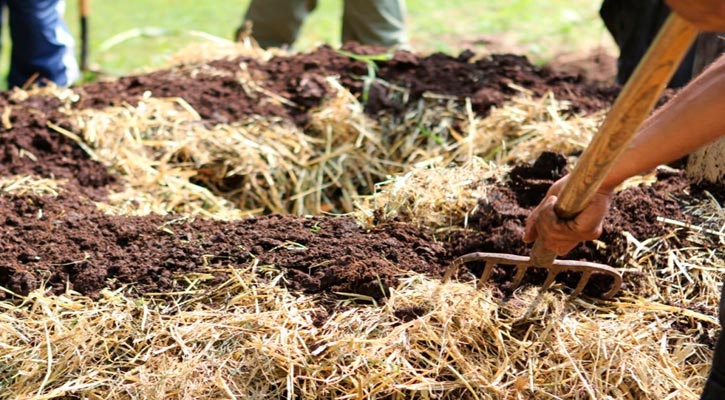 Captará el Ayuntamiento de La Paz ramas derribadas por “Kay” para hacer composta Captará el Ayuntamiento de La Paz ramas derribadas por “Kay” para hacer composta