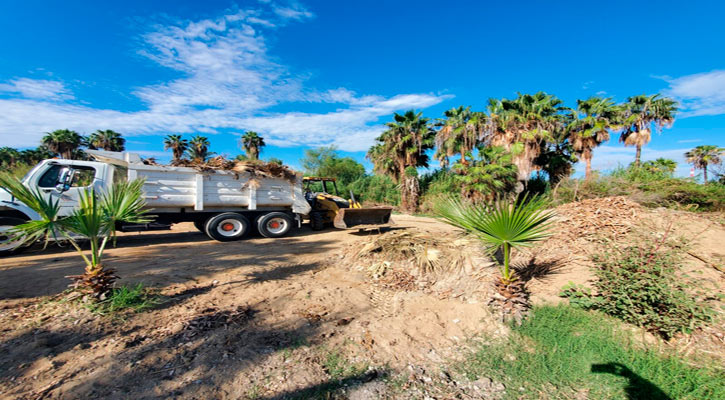 Continúan las jornadas de limpieza en el Estero josefino Continúan las jornadas de limpieza en el Estero josefino