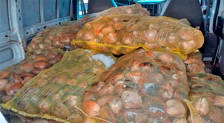 Detienen un vehículo con 1,200 kilos de almeja catarina en Comondú