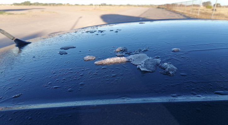 El valle de Santo Domingo, Guerrero Negro y El Vizcaíno, lo más frío este fin de semana