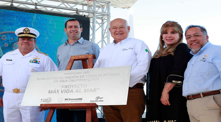 Se han sembrado 7,500 colonias de coral en San Rafaelito