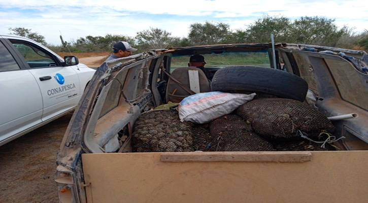 Encuentran vehículo abandonado con 10 costales de almeja catarina en Comondú Encuentran vehículo abandonado con 10 costales de almeja catarina en Comondú