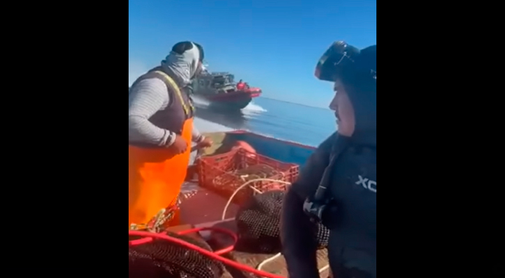 Justifica Fonmar actuar de la SEMAR contra pescadores de Bahía Magdalena Justifica Fonmar actuar de la SEMAR contra pescadores de Bahía Magdalena