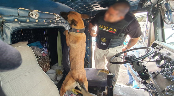 “Lucio” y “Meza” son los nuevos agentes caninos integrantes de la Agencia Estatal de Investigación Criminal