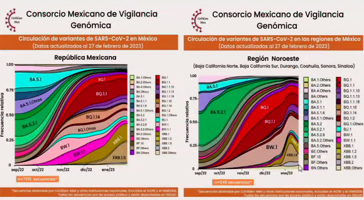 Pasó el Covid-19 a ser endémico; habrá nuevas variantes: SSA