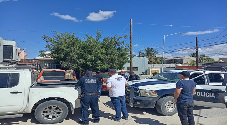 Más de 100 operativos de regularización y supervisión de giros comerciales se han hecho en Los Cabos