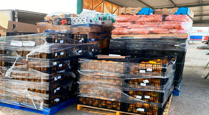 Fortalecerán trabajo de inspección en los puntos de acceso a BCS