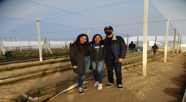 Inauguraron Casa Sombra Agrícola de la UABCS Guerrero Negro Inauguraron Casa Sombra Agrícola de la UABCS Guerrero Negro