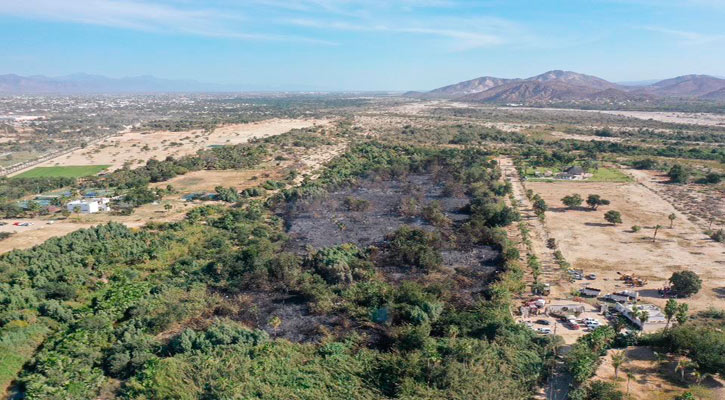Más de 5 hectáreas afectó el incendio en el Estero de SJC; no reportan daños a propiedades ni a personas