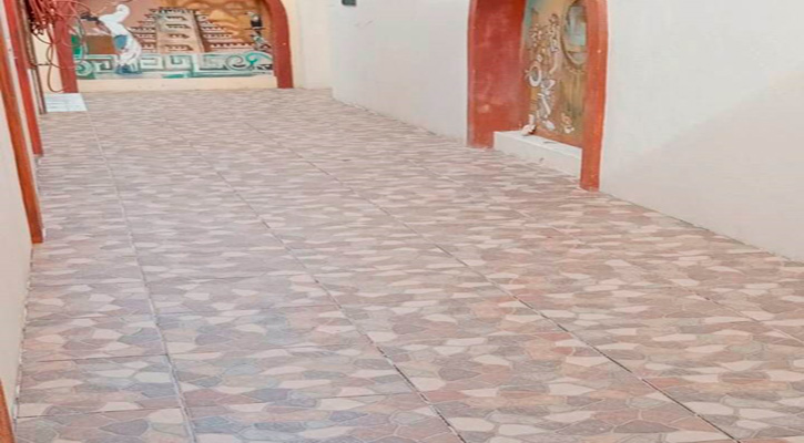 Renuevan pisos, paredes y pasillos del Museo de Historia Natural en CSL