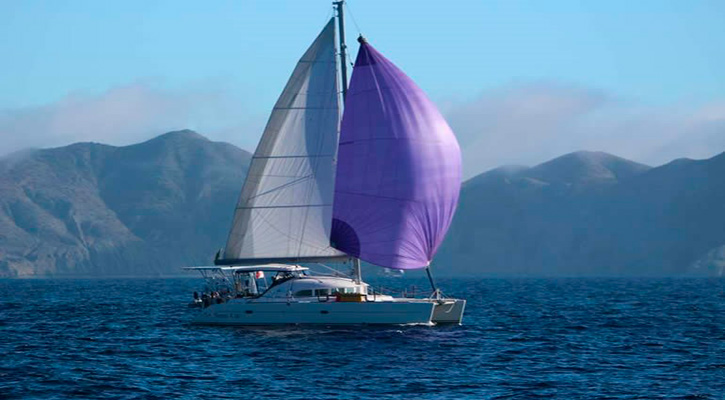 Invitan a la IV Regata Ocean Racing Mar de Cortés