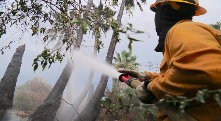Invertirán más de 900 mil pesos en acciones de prevención de incendios forestales en BCS