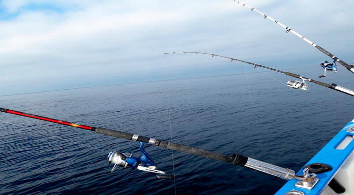 Preparan el torneo de pesca Maja El Grande La Paz 2023 con millonaria bolsa en premios