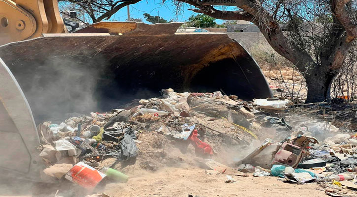 Exhortan a ciudadanos a denunciar a quienes afecten o alteren la flora y fauna de Los Cabos