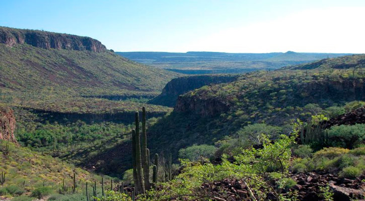 No está definido lo del área protegida de La Giganta y Guadalupe No está definido lo del área protegida de La Giganta y Guadalupe