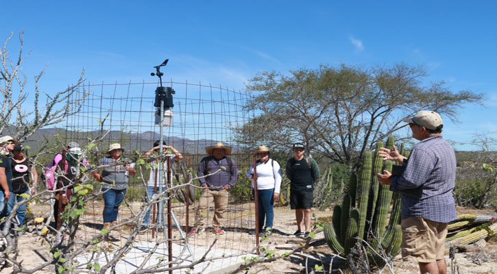 Trabaja la UABCS proyectos para el control de la erosión y recarga de acuíferos en La Paz