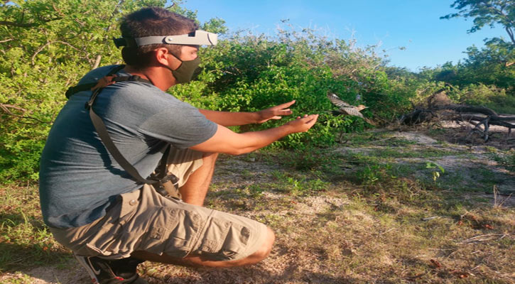Realizarán en Caduaño el Festival de Aves de Los Cabos 2023 “Pájaro Chubasquero”