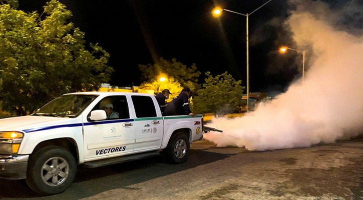 Dengue ataca a jóvenes en BCS; ya va un deceso y hay 8 hospitalizados