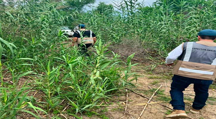 Realizaron operativo en zonas prioritarias del Estero de San José del Cabo
