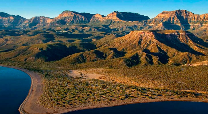 “Estamos hartos de que nos vengan a decir qué hacer con nuestras tierras”: Armando Martínez