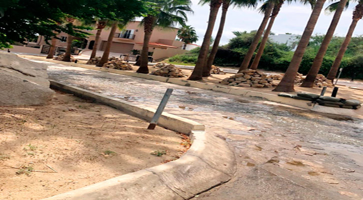 Multas por más de 103 mil pesos contra quien cometa faltas en materia ambiental en Los Cabos